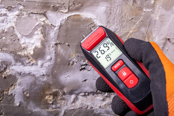 Best Attic Mold Removal  in Union Springs, AL