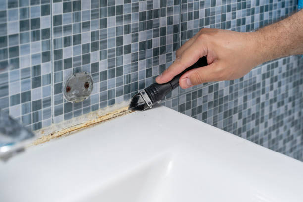 Best Toxic Mold Removal  in Union Springs, AL